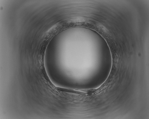 X0000062801062200512261549