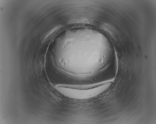 X0000062801064200512261549
