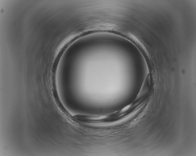 X0000062801085200512261549