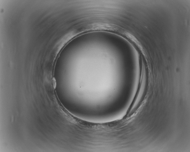 X0000062801089200512261549