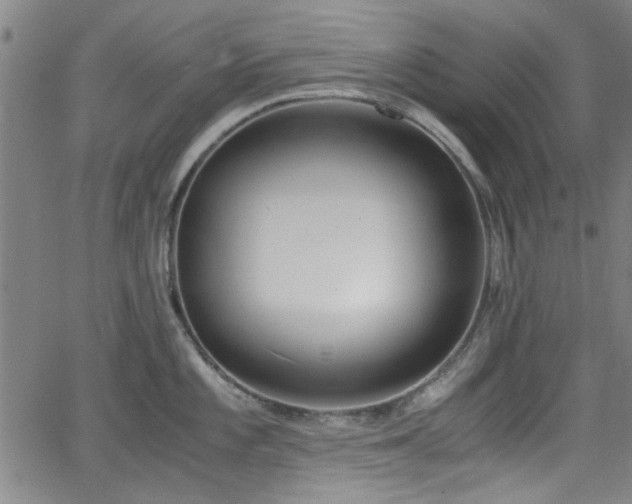 X0000062801101200512261549