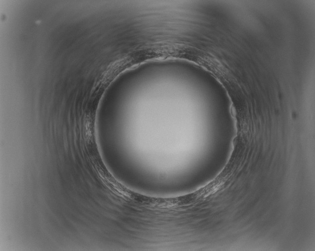 X0000062801106200512261548