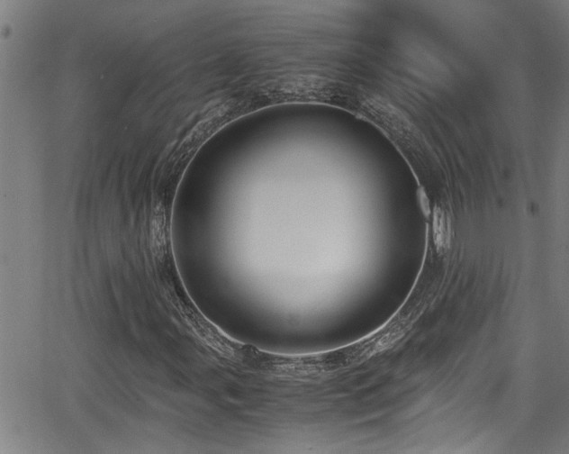X0000062801107200512261548