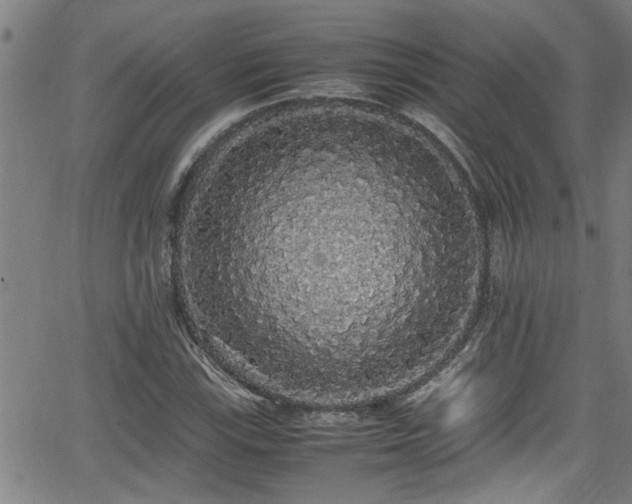 X0000062801115200512261548