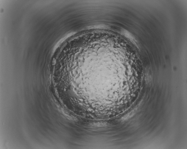 X0000062801117200512261548