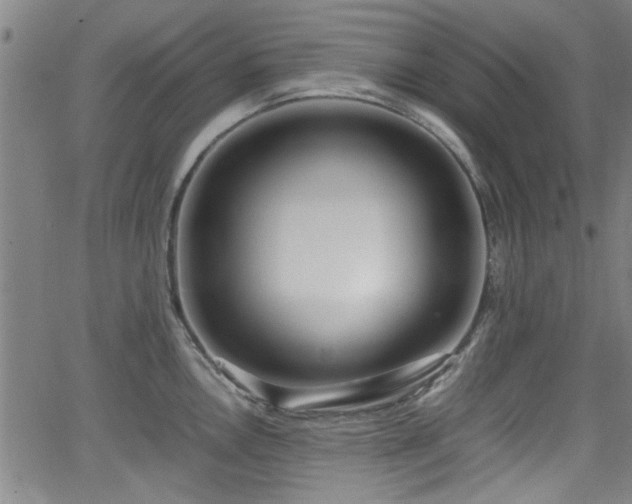 X0000062801146200512261549