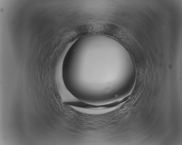 X0000062801153200512261548