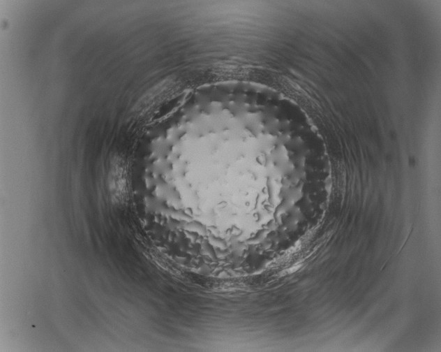 X0000062801154200512261548