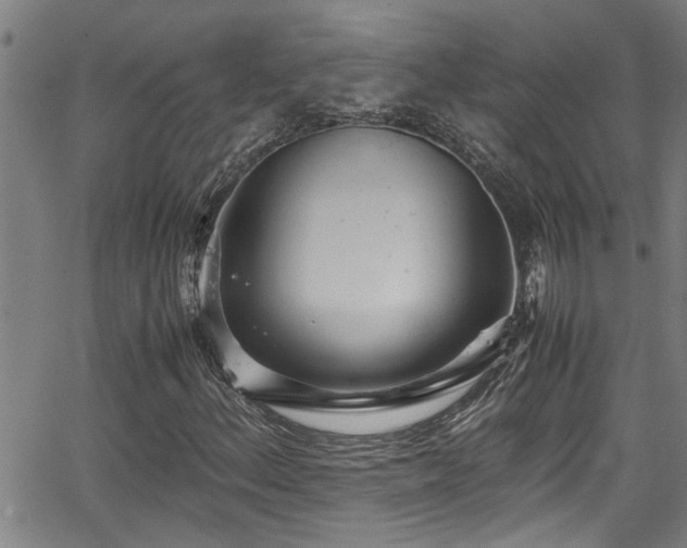 X0000062801156200512261548