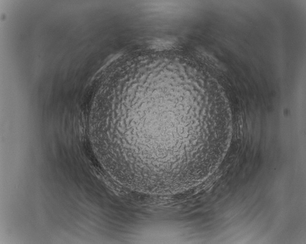 X0000062801158200512261548