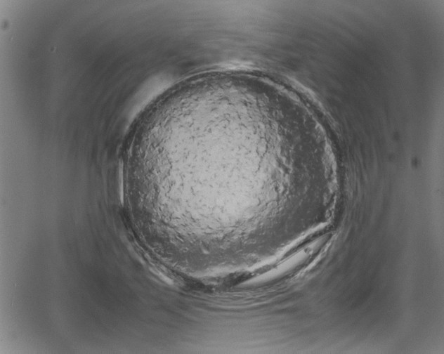 X0000062801171200512261548