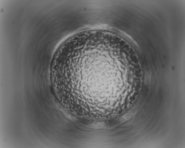 X0000062801174200512261548