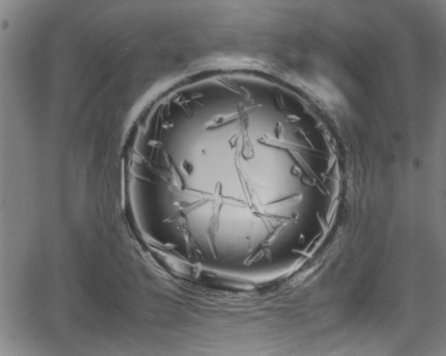 X0000062801175200512261548