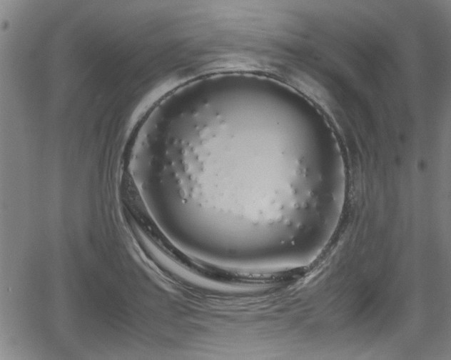 X0000062801179200512261547
