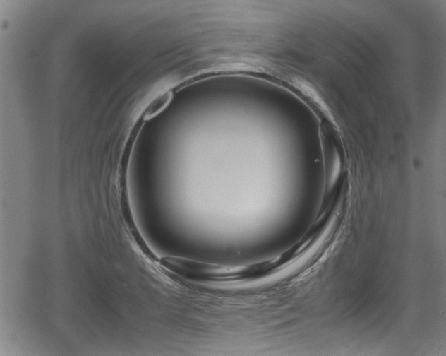 X0000062801181200512261547