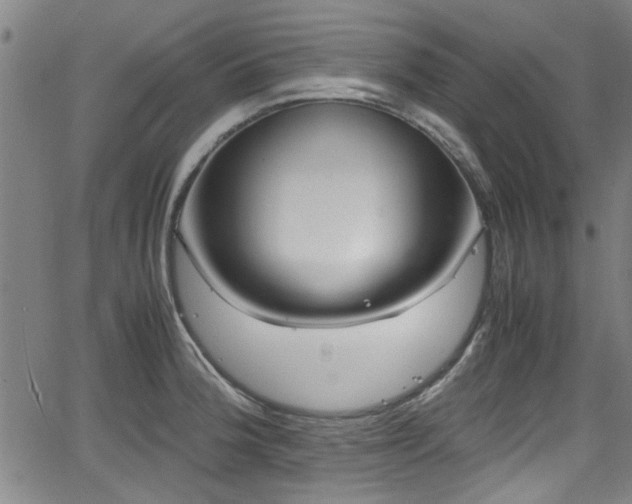 X0000062801188200512261547