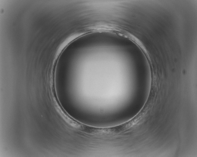 X0000062801195200512261547