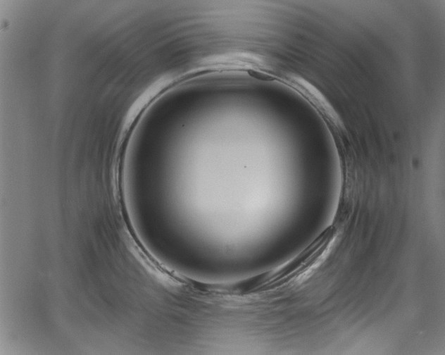 X0000062801196200512261547