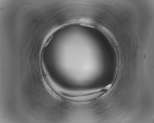 X0000062801200200512261547