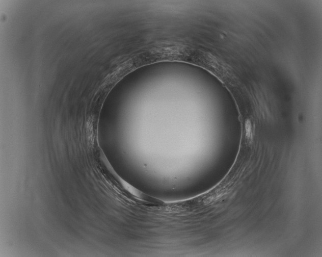 X0000062801203200512261546