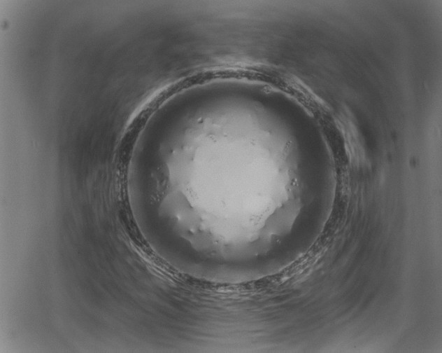 X0000062801208200512261546