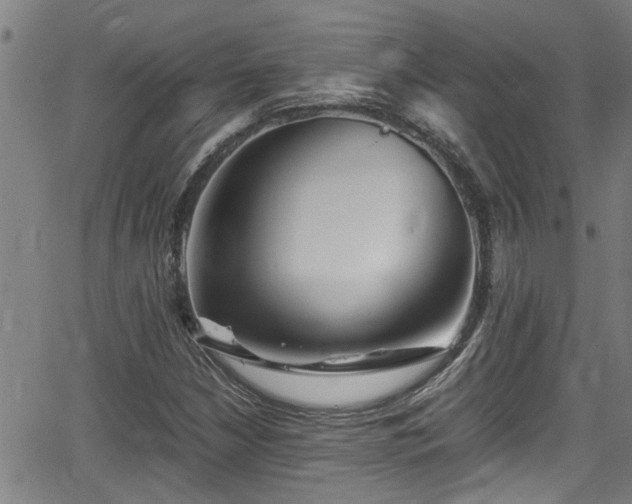 X0000062801210200512261546