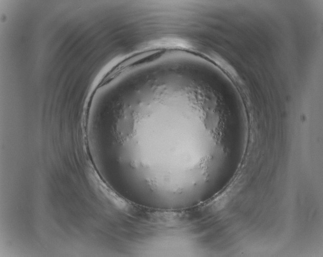 X0000062801248200512261547