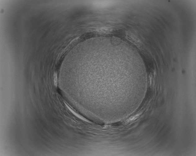 X0000062801251200512261546