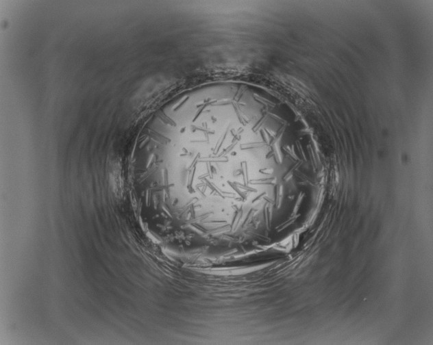 X0000062801252200512261546