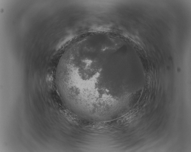 X0000062801254200512261546