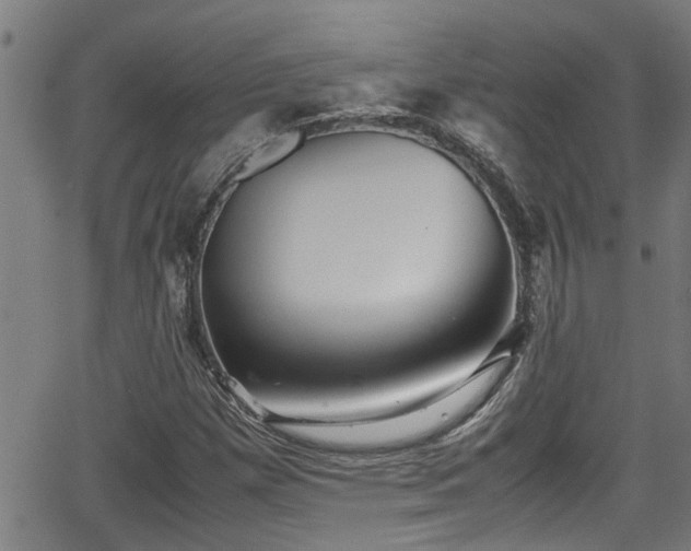 X0000062801257200512261546