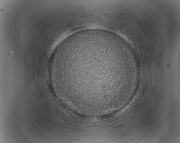 X0000062801263200512261546