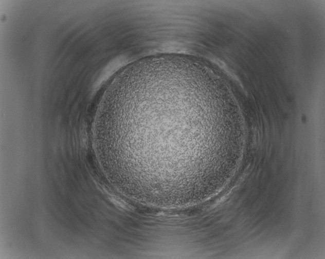 X0000062801266200512261546