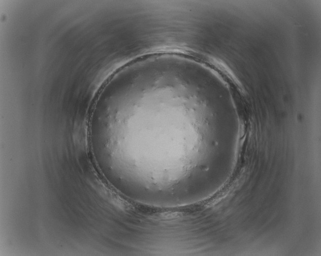 X0000062801268200512261546