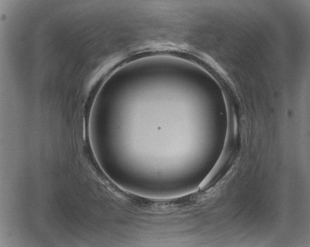 X0000062801269200512261546
