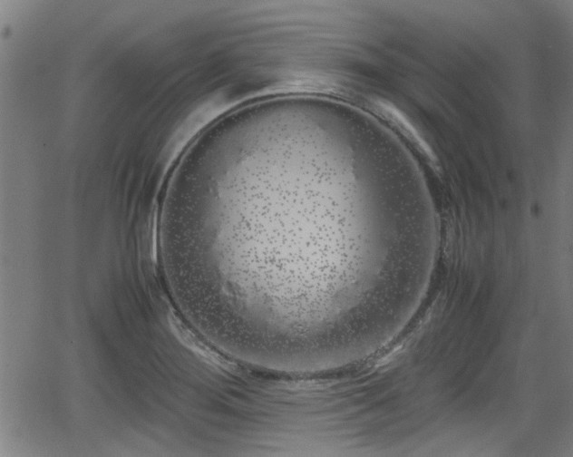 X0000062801276200512261546