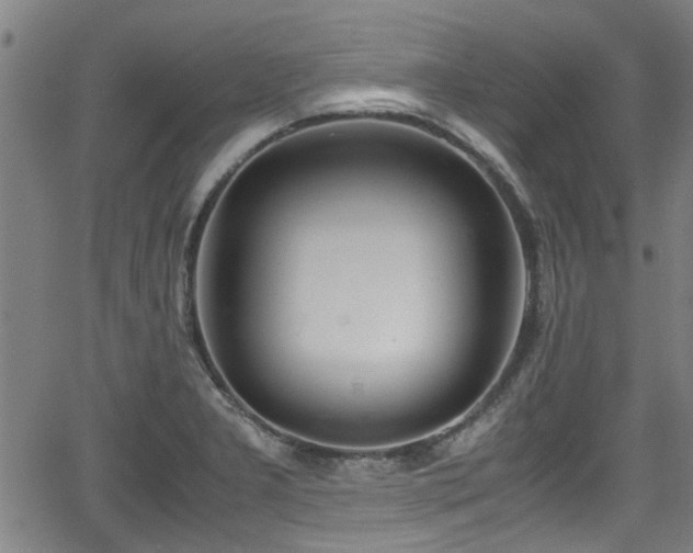 X0000062801277200512261546