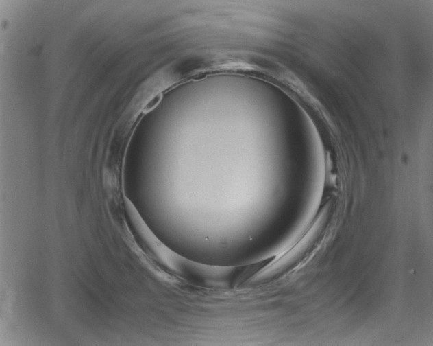 X0000062801281200512261546