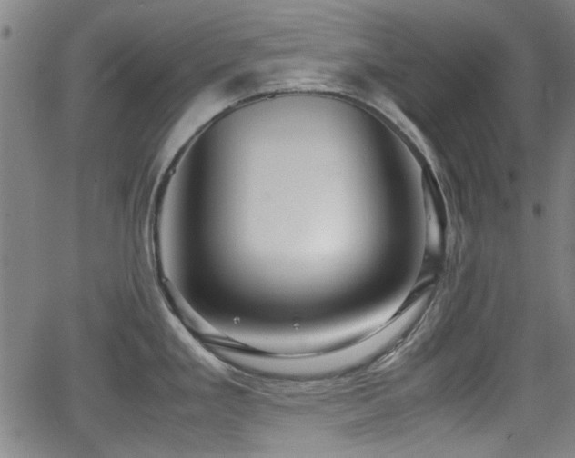 X0000062801293200512261546