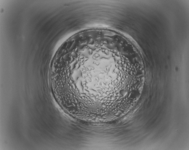 X0000062801295200512261546
