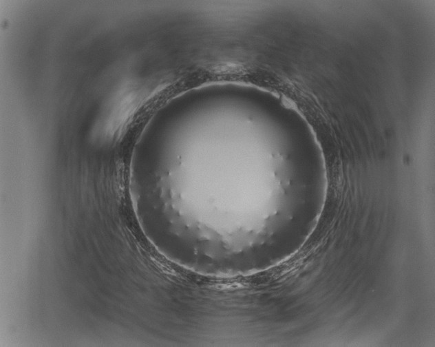 X0000062801301200512261545