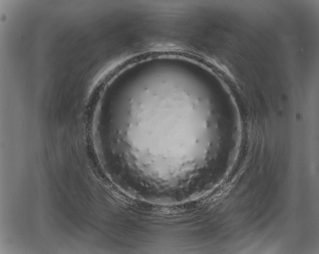 X0000062801311200512261545