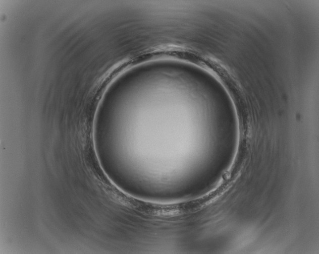 X0000062801313200512261545