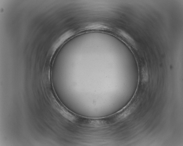 X0000062801322200512261545