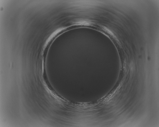 X0000062801323200512261545