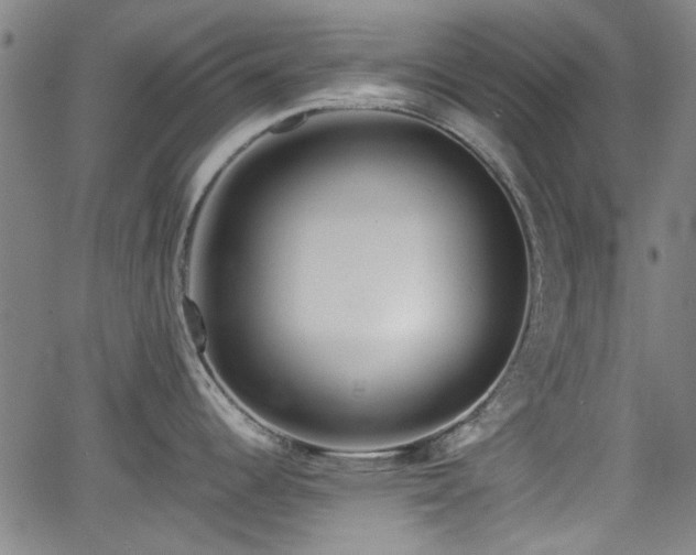 X0000062801344200512261546