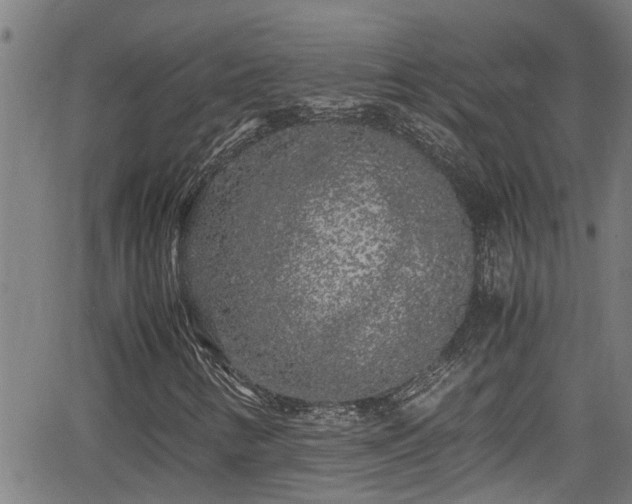 X0000062801346200512261545