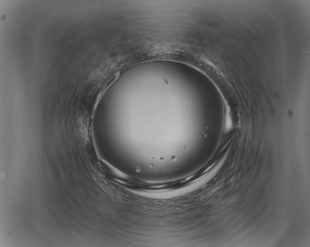 X0000062801348200512261545