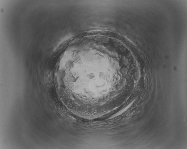 X0000062801351200512261545