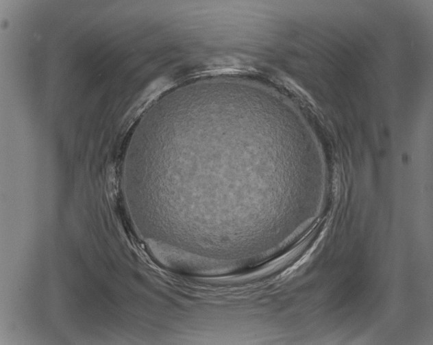 X0000062801353200512261545